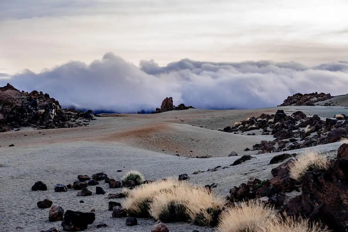 Paisaje volcánico de rocas de lava oscuras y matas secas con un mar de nubes al fondo